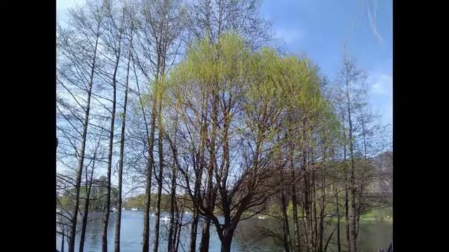 Царицыно парк. Начало мая. смотреть онлайн