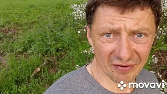 ПОМОЛВКА НА РУИНАХ. смотреть онлайн