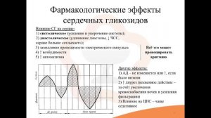 19.2. Кардиотонические средства