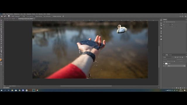 как сделать такую фотографию???Лебедь на телефоне!!! смотреть онлайн