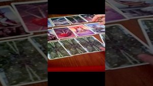 Китай Шанхай, что происходит? Цель? Когда закончится?