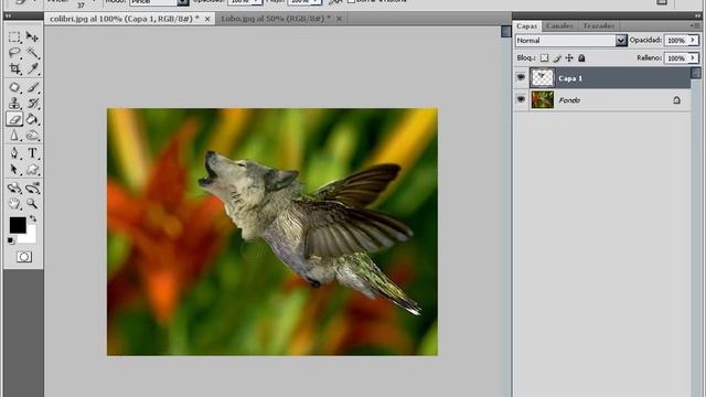 tutorial photoshop animal inventado смотреть онлайн