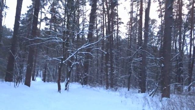 Незамерзающий в -20° источник возле Боярки смотреть онлайн