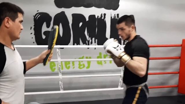 Зоиржон Усмонов Бобурбек Юлдашев тренировка работа на лапах смотреть онлайн