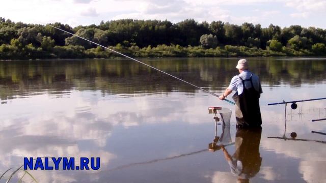 Ока рязанская, июнь 2017 (поплавочная удочка) смотреть онлайн