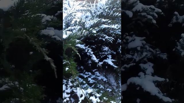 "В январе,в январе много снега на дворе,снег на крыше,на крылечке......"-помним с детства!!! ❄ 🌲❄⛄❄ смотреть онлайн