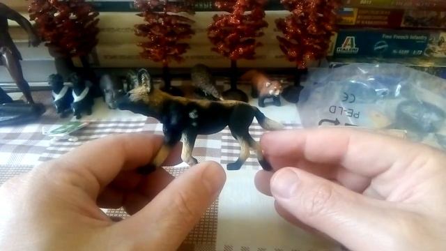 Mojo (Animal planet) African Wild Dog - гиеновидная собака смотреть онлайн