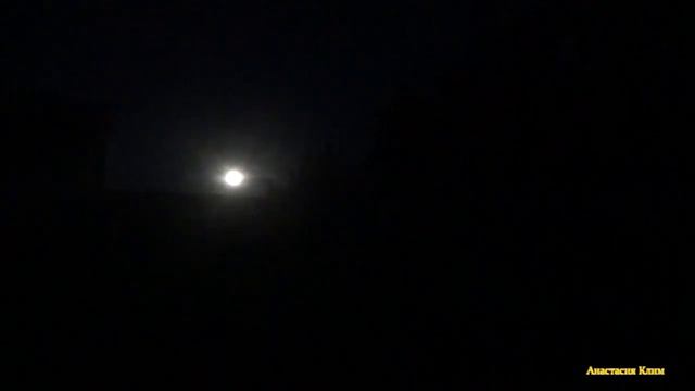 Красивое Пение Соловья НОЧЬЮ