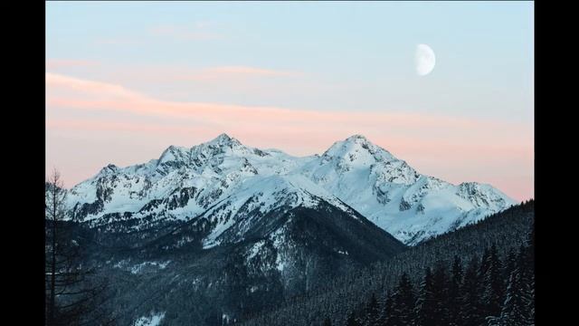 Что подарить парню на 14 февраля смотреть онлайн