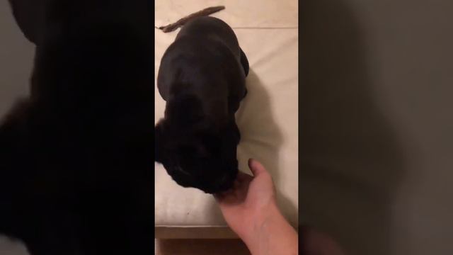 Кайри с нами ровно год!