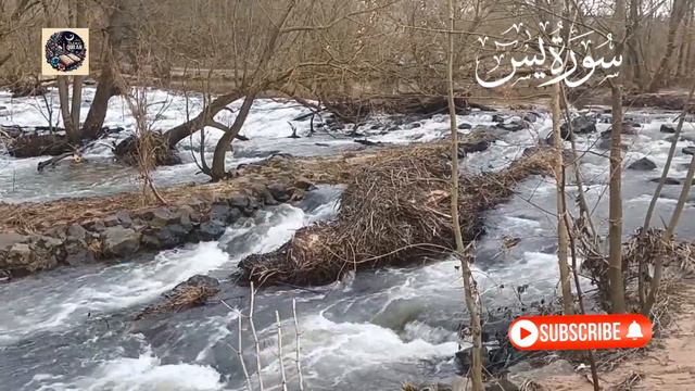 Surah Yasin (Yaseen) | Beautiful recitation | سورہ یاسین смотреть онлайн