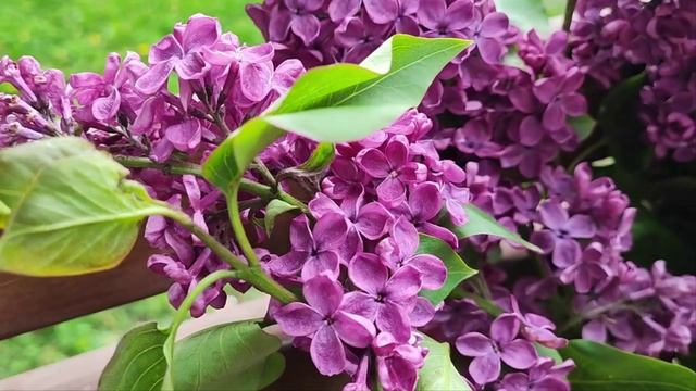 Все,что было,прошло...Муз Н.Первиной,ст С.Угрюмовой,поет Г.Погорельская. смотреть онлайн