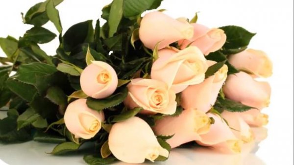 С Днём рождения,Султан