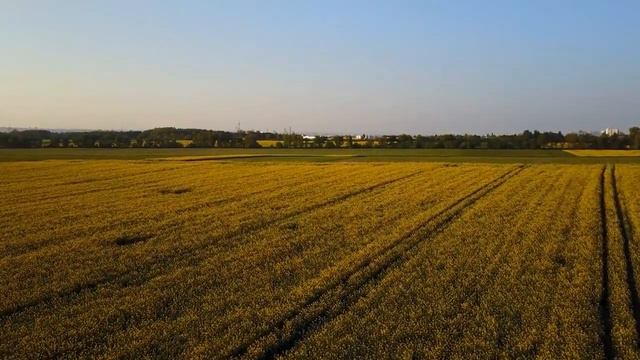 Учиться эффективно. Урок 1. Цели учёбы смотреть онлайн