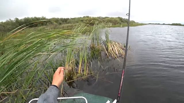 Эта блесна ловит ВСЕГДА!!! Рыбалка на ЩУКУ с лодки!!!Эта блесна ловит ВСЕГДА!!! Рыбалка на ЩУКУ с ло смотреть онлайн