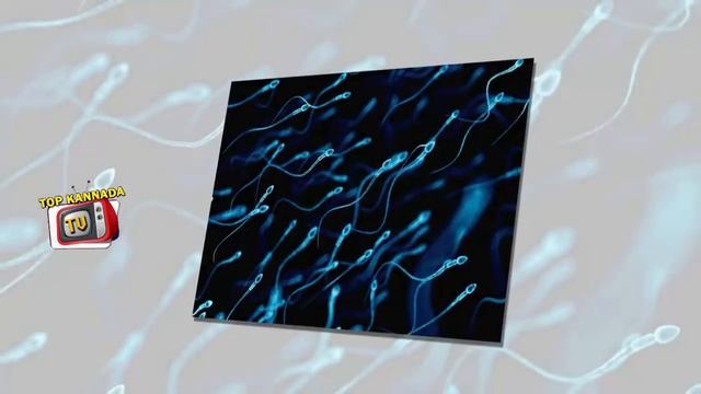 What Is DNA In Kannada | 