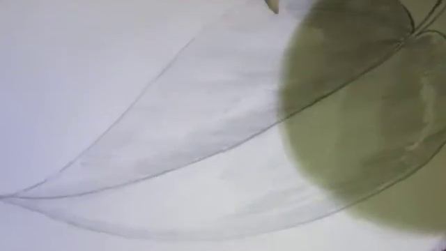 How to Draw or Sketch Simple Plane Leaf #1 смотреть онлайн