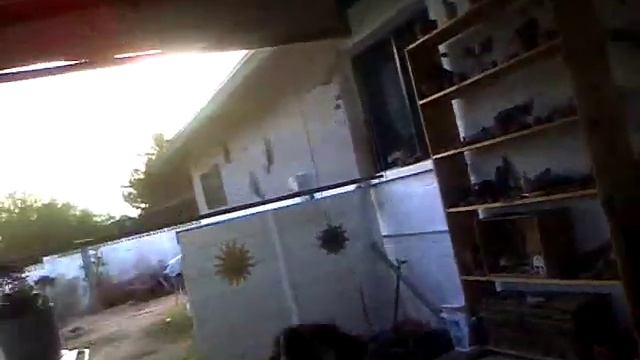 Cookie catches the ball смотреть онлайн