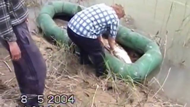 Приколы на Рыбалке.Лучшее за 2021.Часть 3. смотреть онлайн