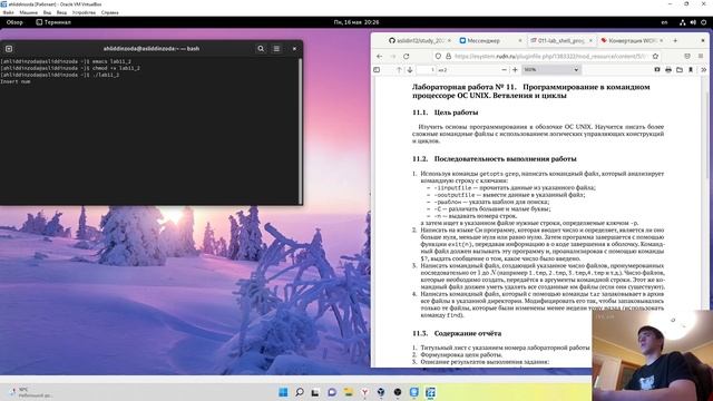 Выполнение лабораторной работы 11