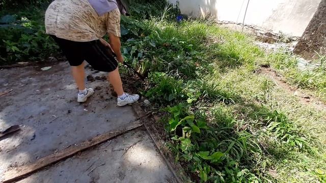 Ground Roots (Beginning the Malanga, Taro, Chronicles) смотреть онлайн