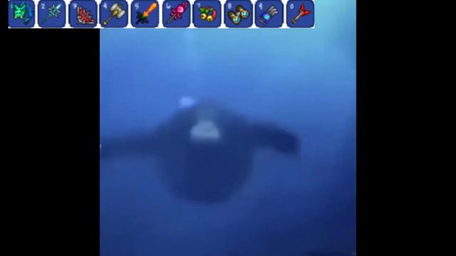 monkey searching for sharks in terraria смотреть онлайн