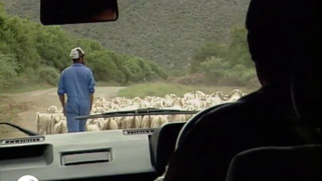 The Great Karoo Revealed: Timeless Wonders of South Africa's Heartland 🌄 смотреть онлайн