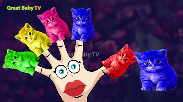Cute Kitten Cat Colorful Learning Color Video For Kids Finger Family Nursery Rhyme Song смотреть онлайн