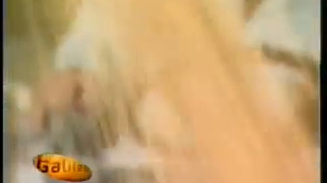 Мармолеум (натуральный линолеум)  Forbo - производство