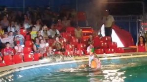 🇷🇺 #Цирк на воде 🎪Часть 2#Калининград