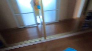 Мои силиконовые собачки, бульдоги, мопсы