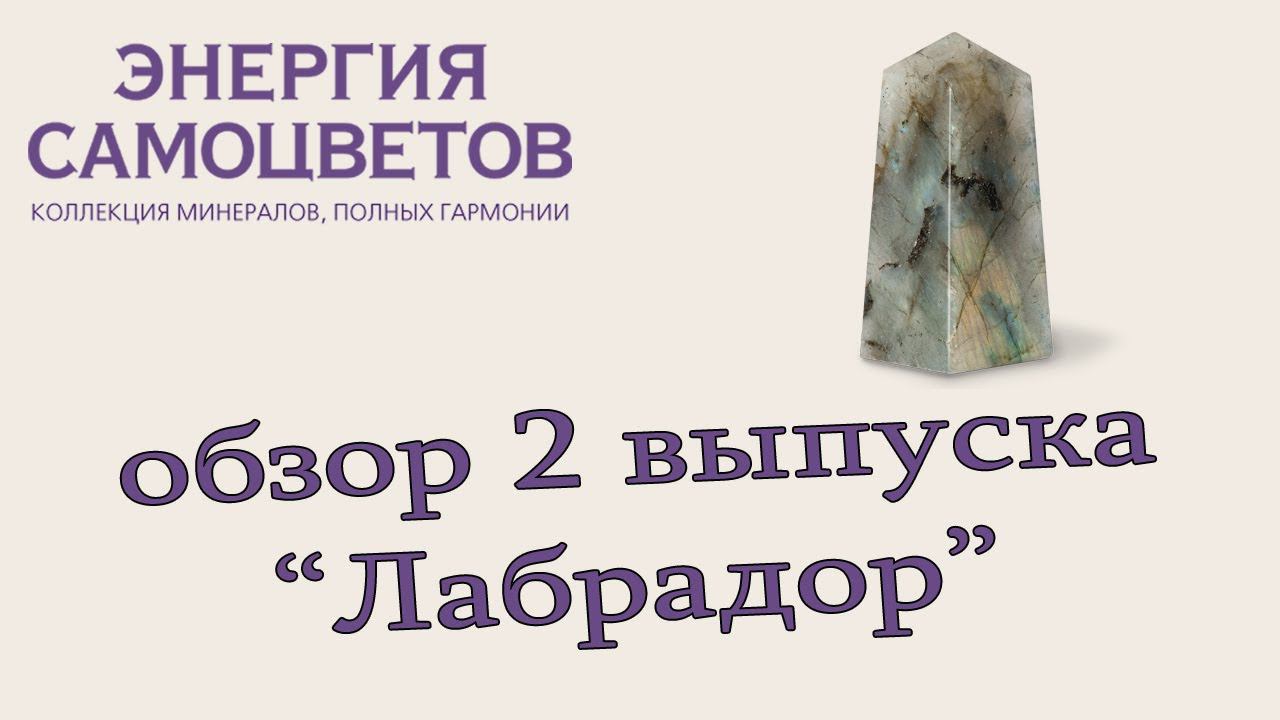 Коллекция "Энергия самоцветов" | 2 выпуск / Лабрадор | DeAgostini смотреть онлайн