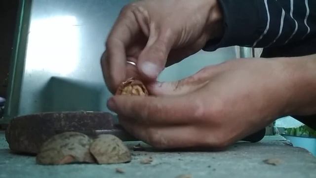 Орех бабочка смотреть онлайн