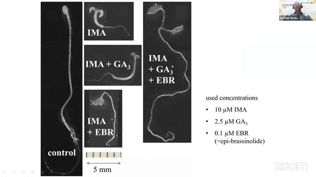 Kuliah Tamu Prof. Stefaan смотреть онлайн