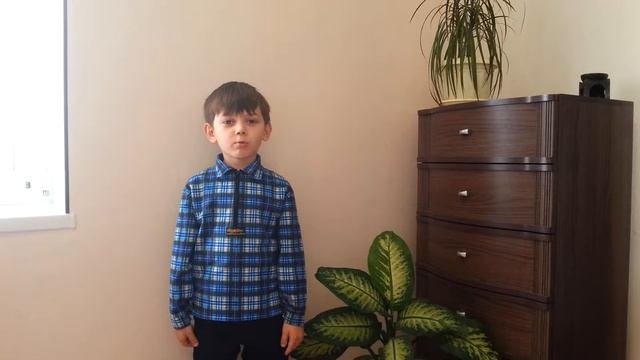 МБОУ Татаробашмаковская СОШ Шевченко Егор " Водяная" Габдулла Тукай смотреть онлайн