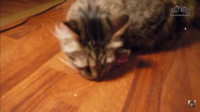 ешь, Кузенька,ешь! смотреть онлайн