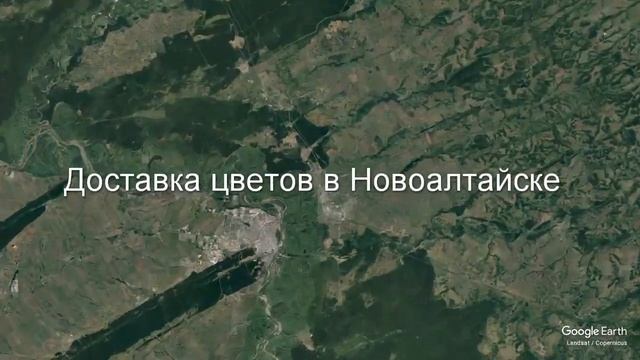 Доставка цветов в Новоалтайске - Заказ букетов от компании Скорая подарочная помощь смотреть онлайн