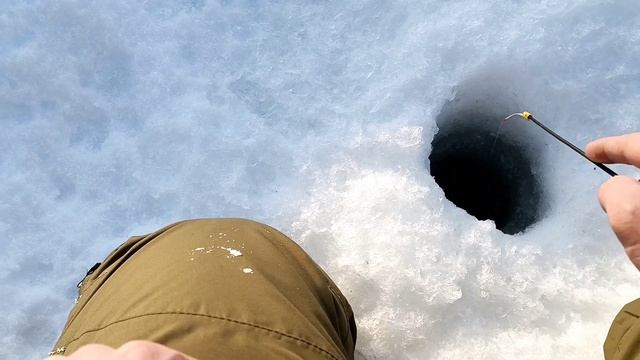 ПОЕХАЛИ ТЕСТИРОВАТЬ БУКСИРОВЩИК IKUDZO 2.0 EKR 20 В СУГРОБАХ И ЗАСАДИЛИ! смотреть онлайн