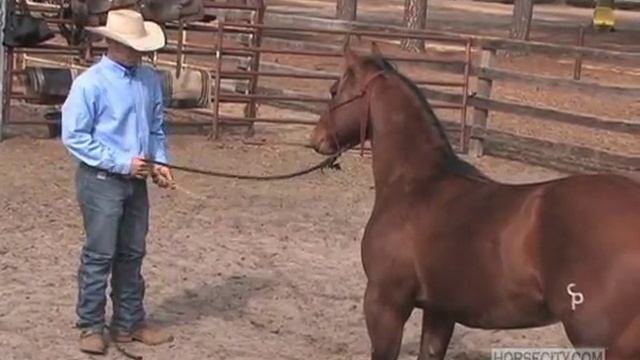 Rob Leach - Conditioned Response смотреть онлайн