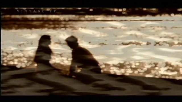 Dusty Springfield - Arrested By You @ 1990 смотреть онлайн