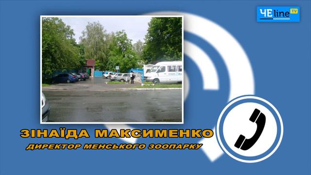 К Менского зоопарка кандидаты в нардепы еще «не доехали» смотреть онлайн