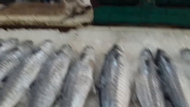 Deira Fish market|Dubai|UAE смотреть онлайн