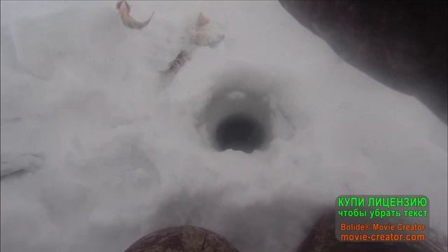 Рыбалка в снежный день на Гилевском водохранилище смотреть онлайн