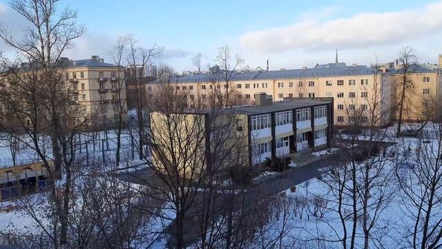 Про ЧЕРЕНКИ ГОРТЕНЗИИ ? и мои ПЛАНЫ! смотреть онлайн