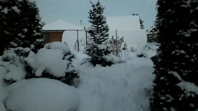 Хвойный сад зимой/Срочная поездка на дачу/- 2021 год смотреть онлайн