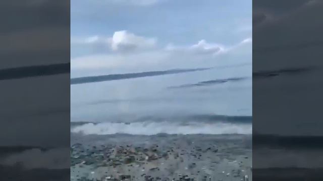 WHAT'S HAPPENING NEAR THE COAST смотреть онлайн