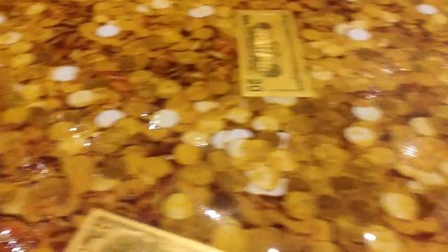 Полюшко. 3д полы с деньгами в санузле, Хрипань смотреть онлайн