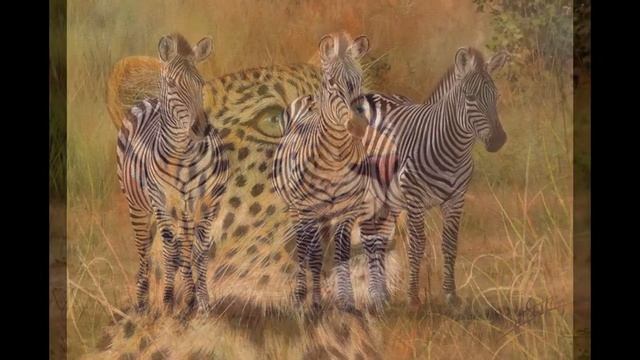Дикие животные английского художника Devid Stribbling смотреть онлайн