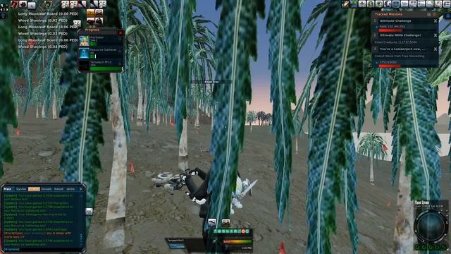 Tree Harvesting on Planet Cyrene for valuable looter skills Entropia Universe смотреть онлайн