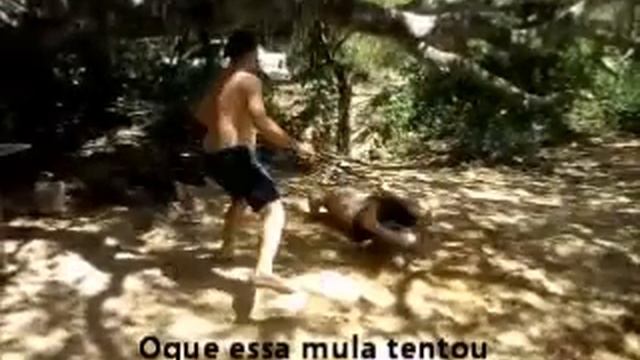 Capoeira.wmv смотреть онлайн
